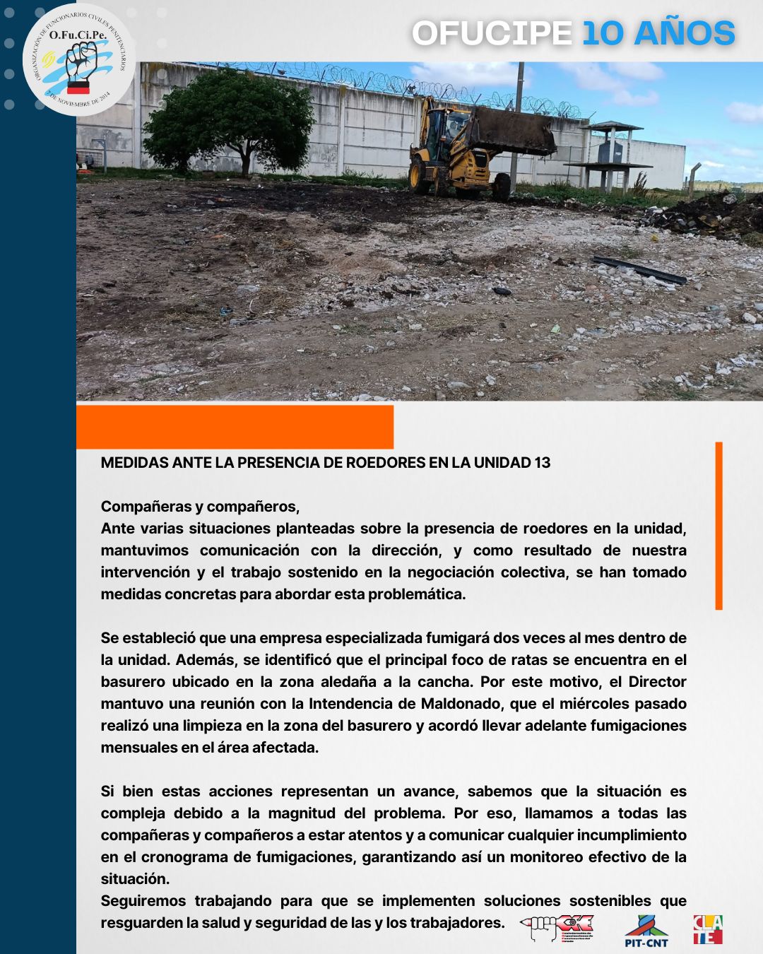 Unidad 13: Medidas ante presencia de roedores